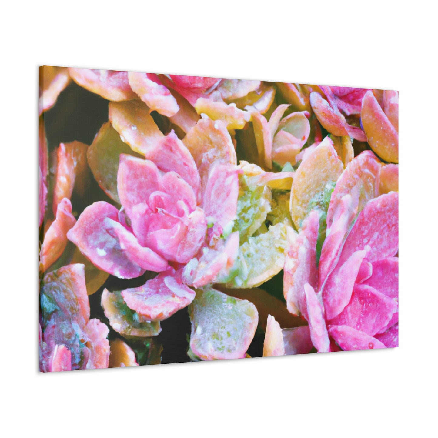 Iolanthe, Goddess. - Canvas - Succulent