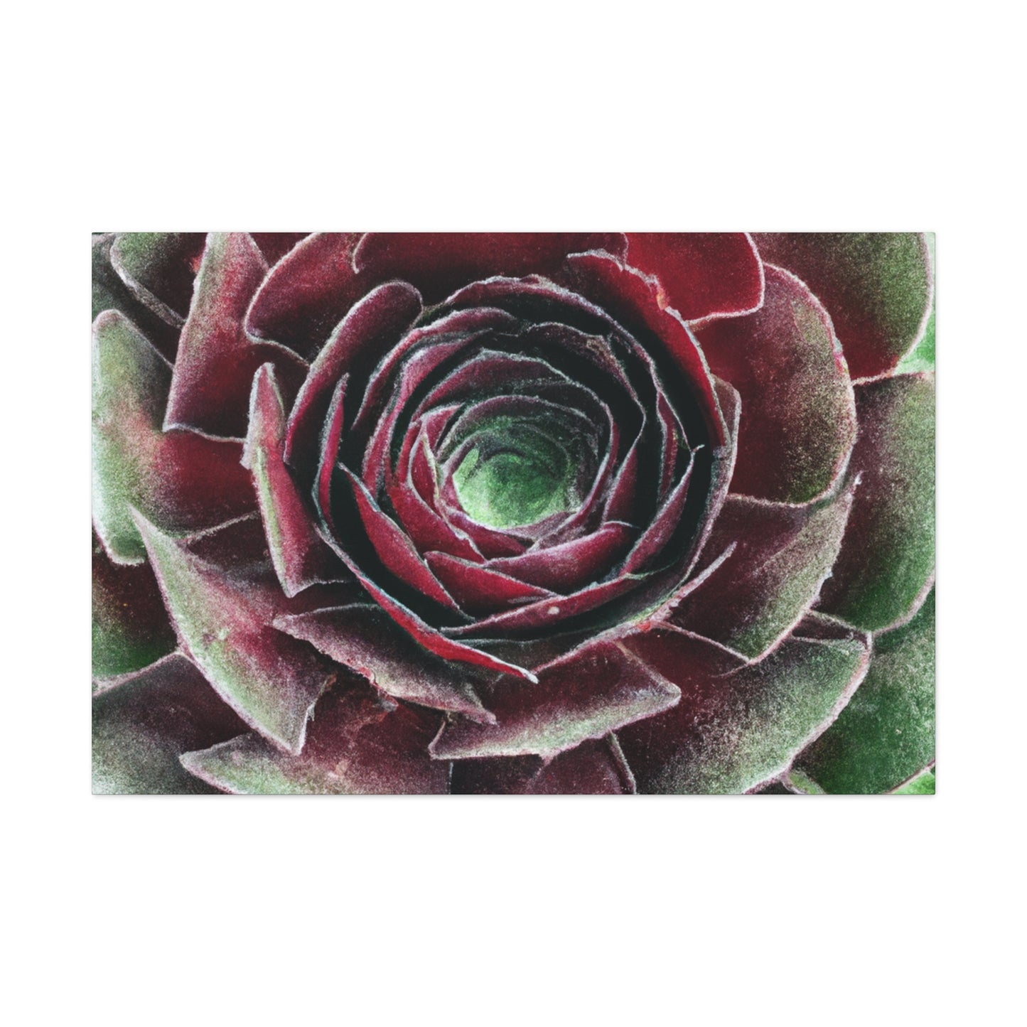 Red Garden Petals. - Canvas - Succulent