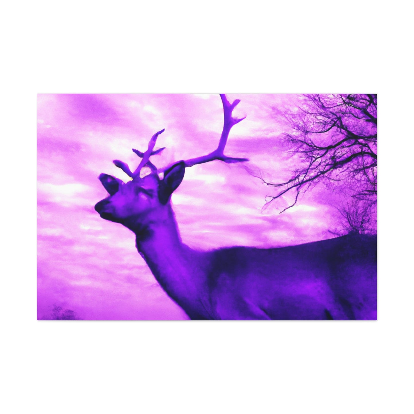 Purple King. - Canvas - Wildlife