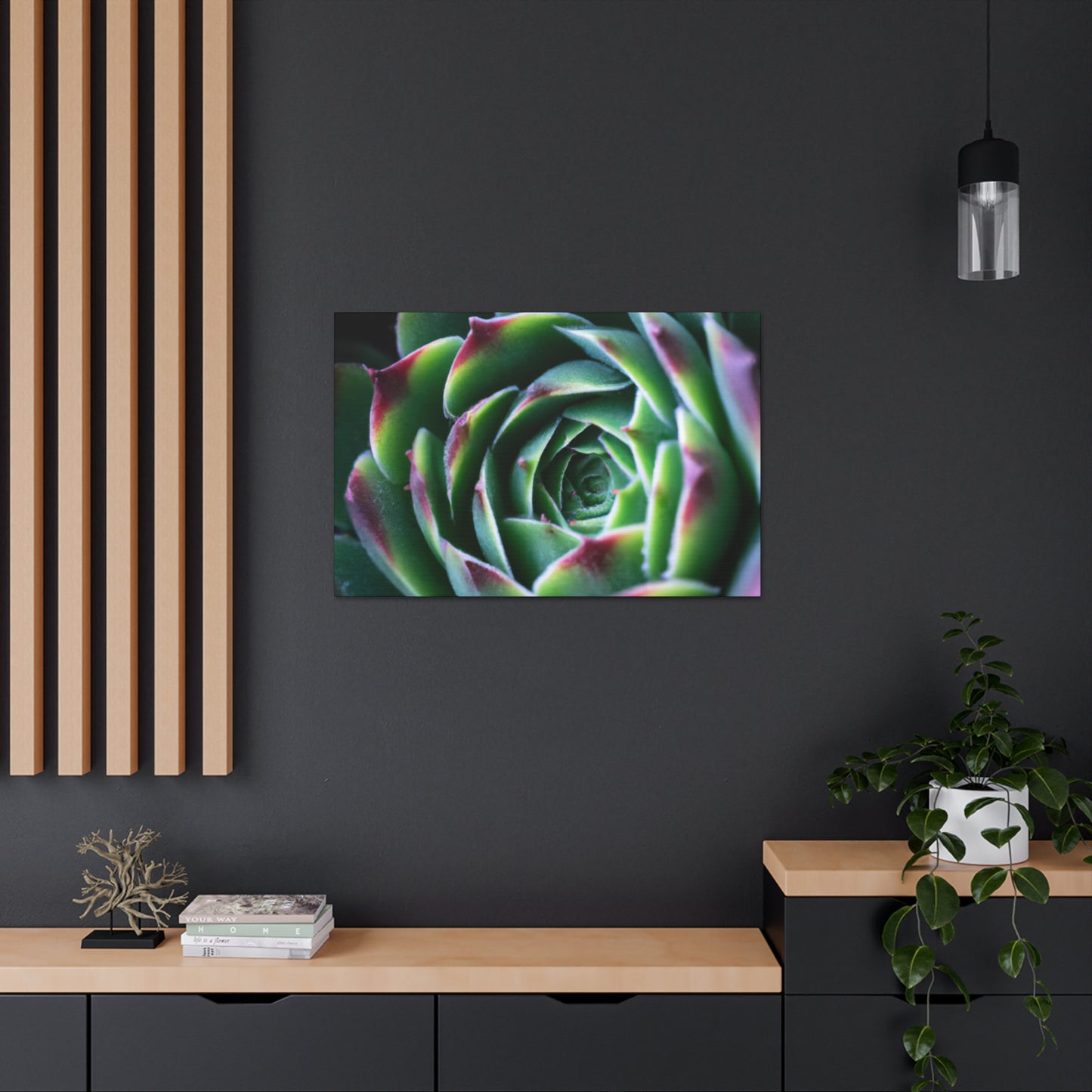 "Flowering Patio" - Canvas - Succulent