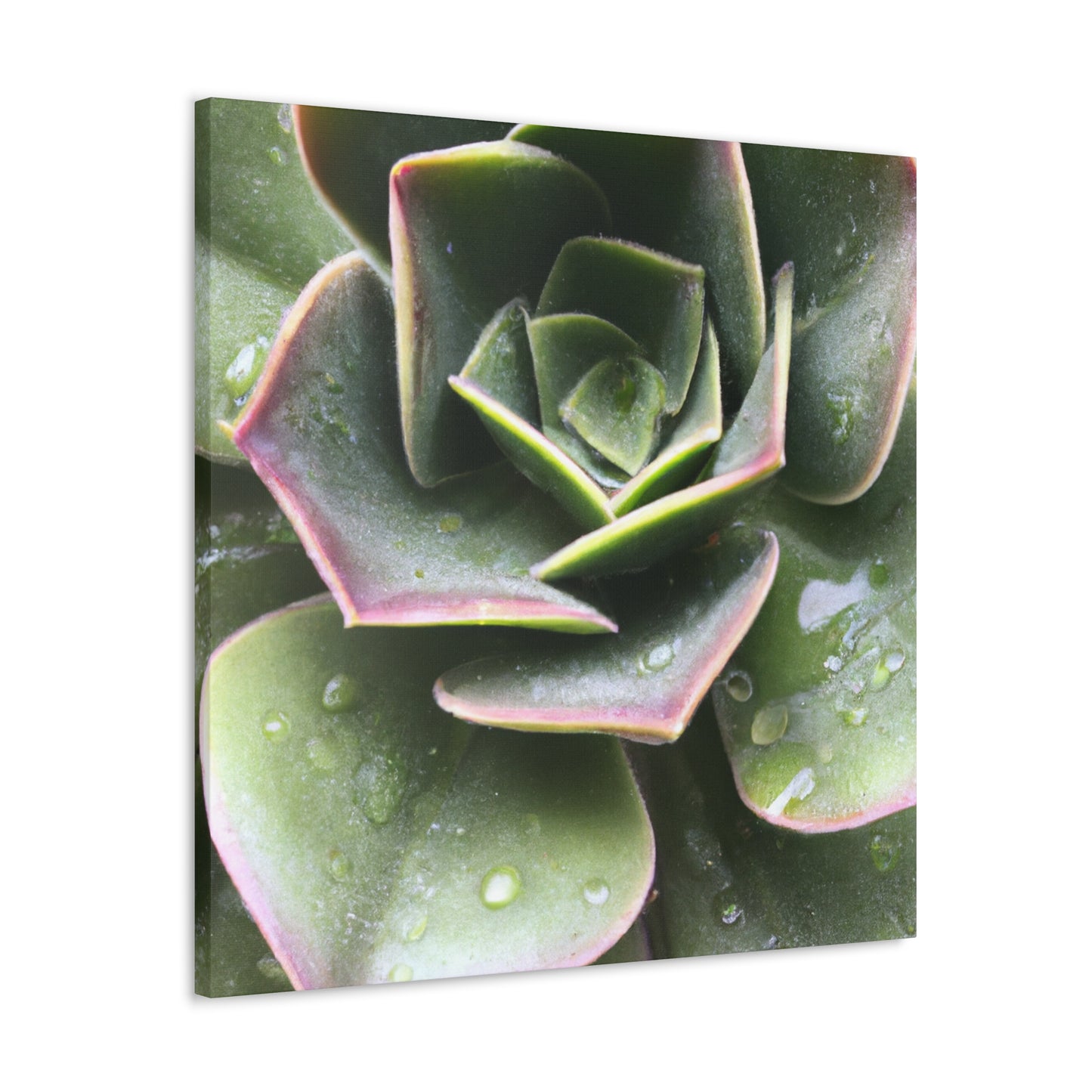 "Garden of Plenty." - Canvas - Succulent