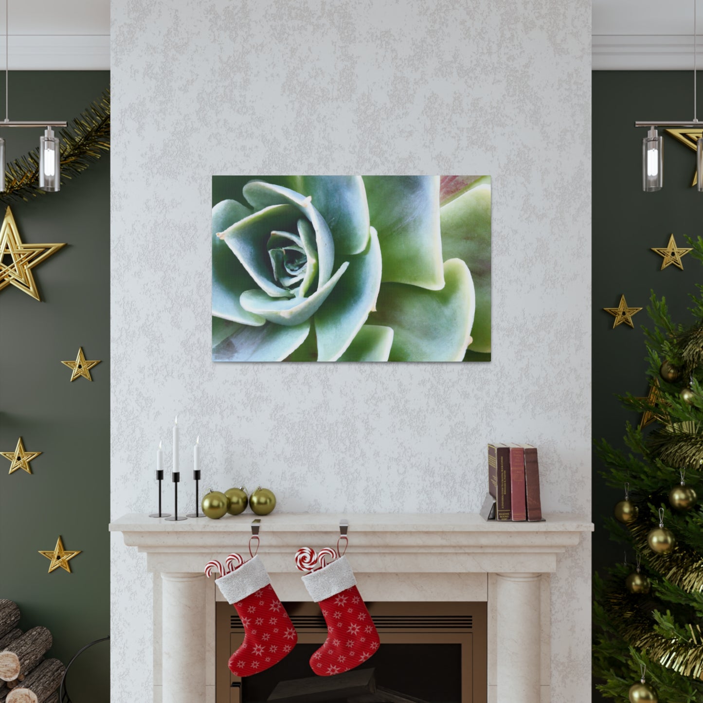 Garden of Delights - Canvas - Succulent