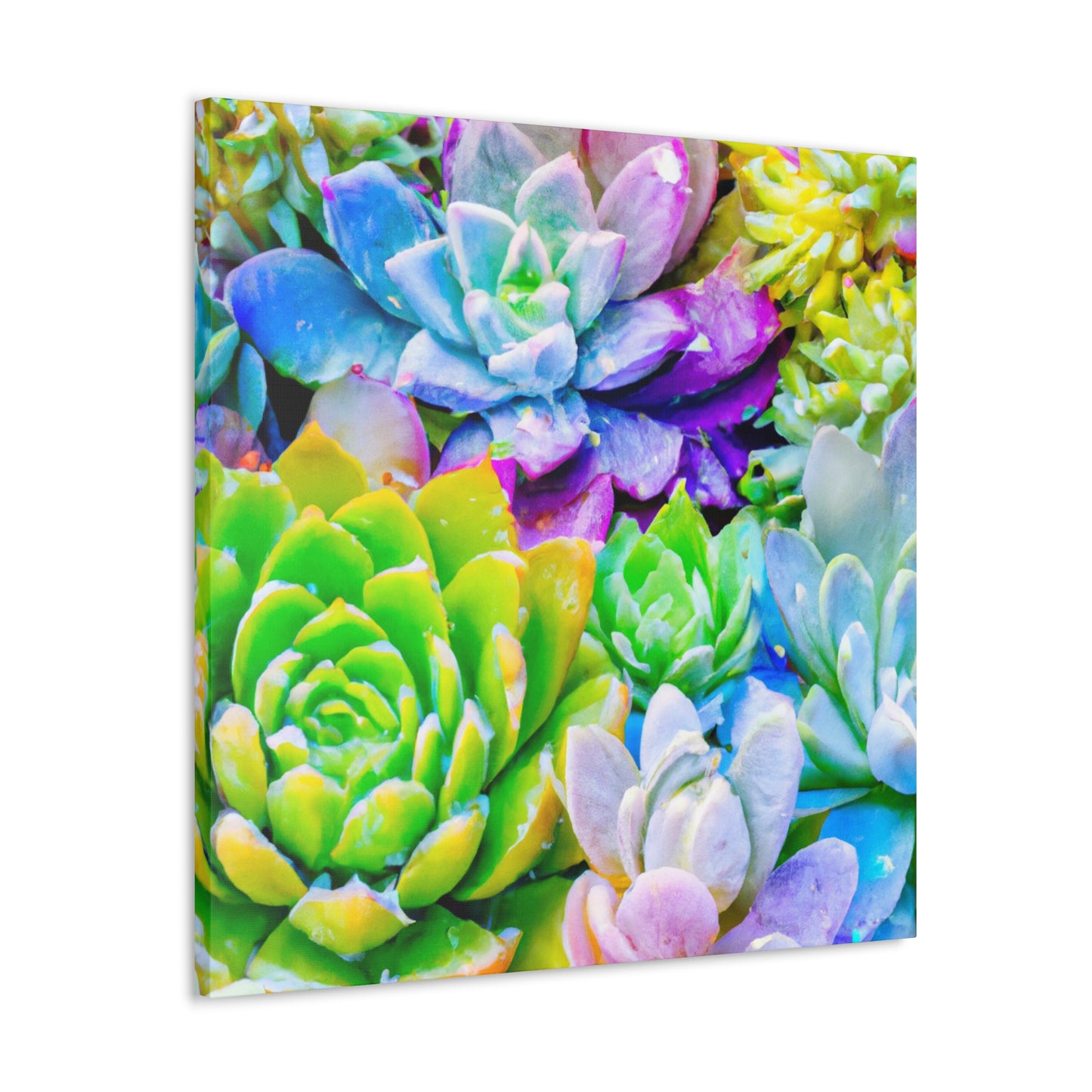 Garden of Bright Delights - Canvas - Succulent