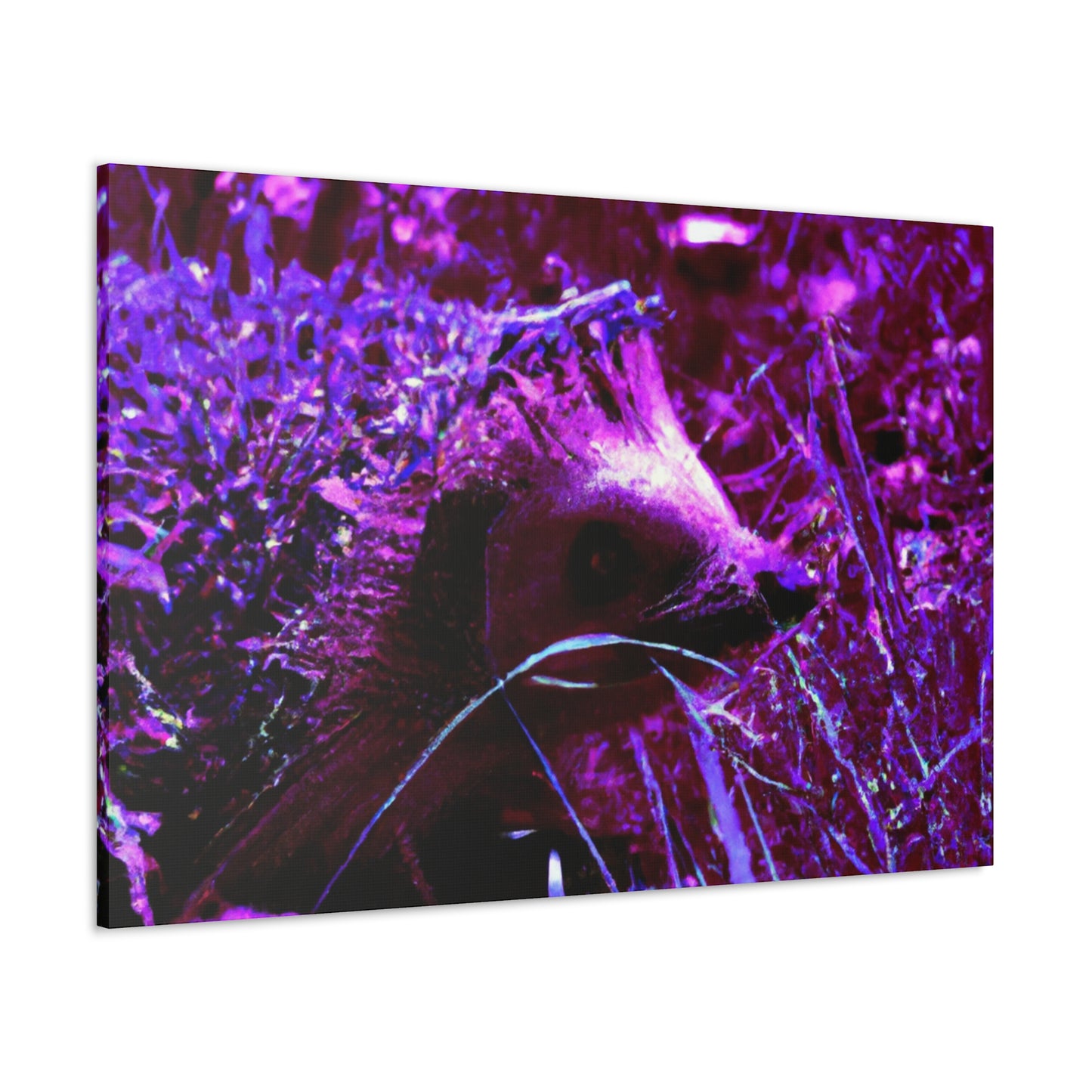 Purple Porcipine. - Canvas - Wildlife