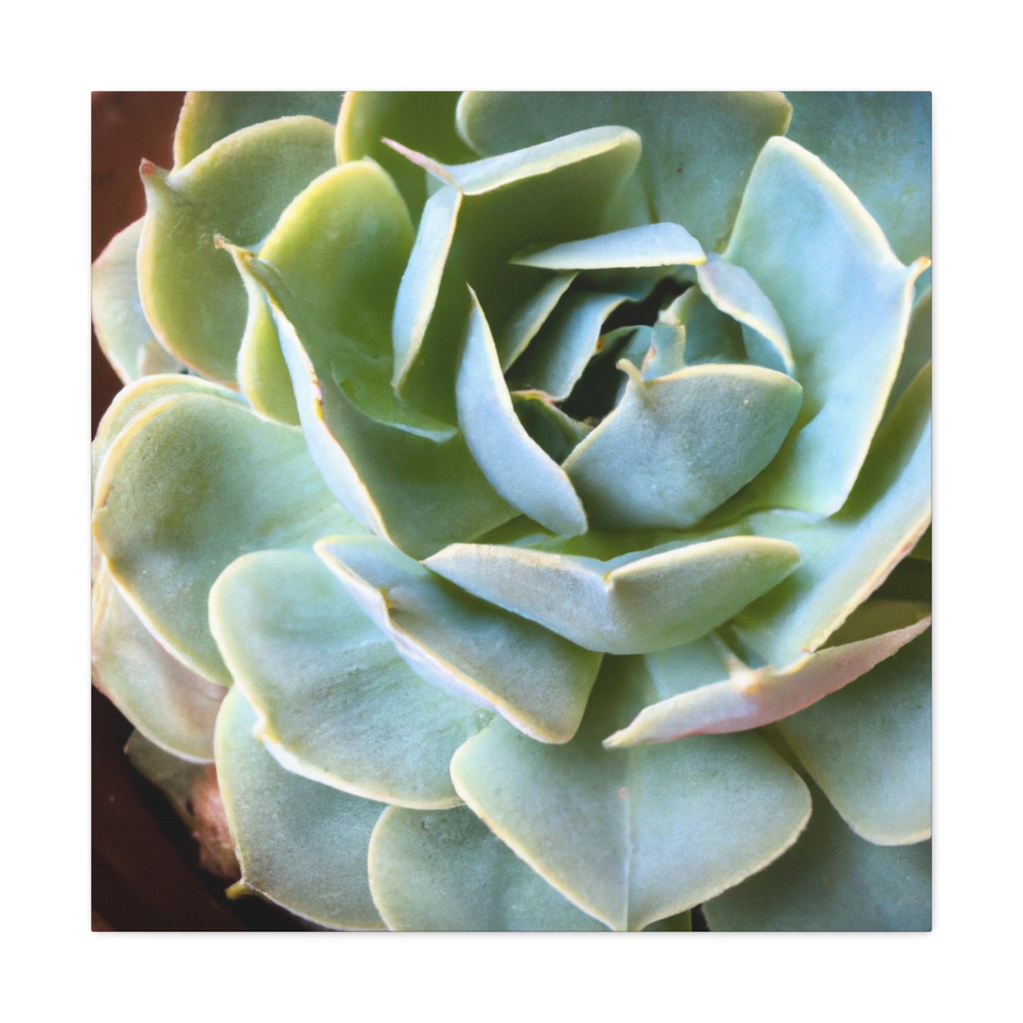 "Blooming Garden" - Canvas - Succulent
