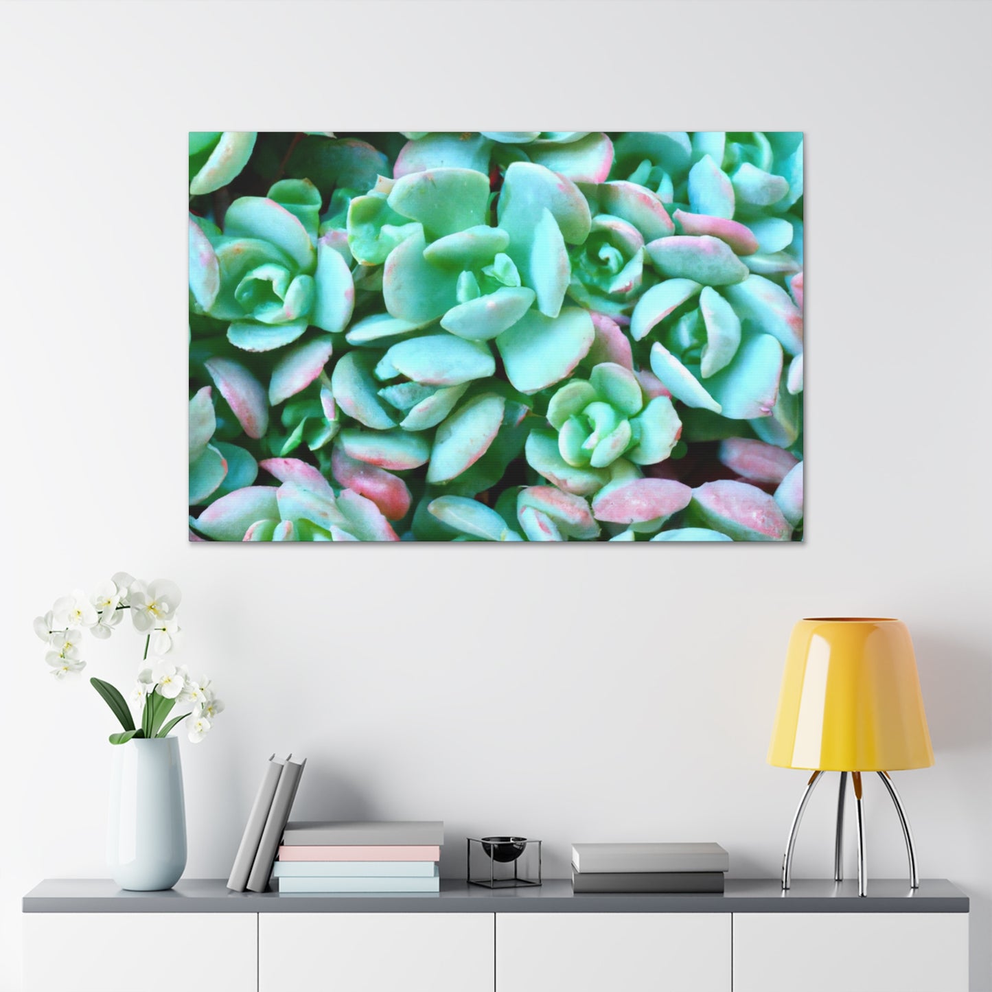 Green Beauties - Canvas - Succulent