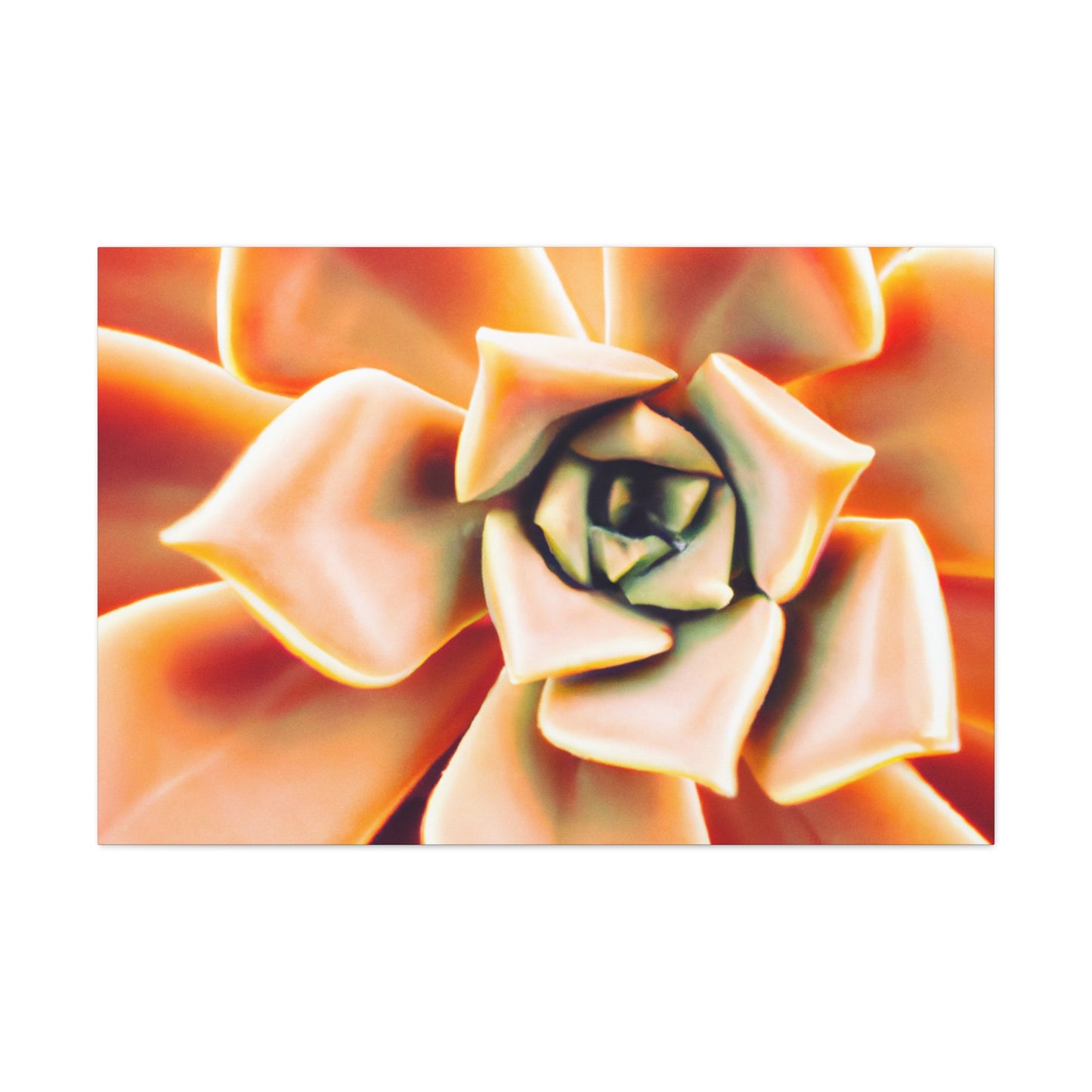 "Melon Symphony" - Canvas - Succulent