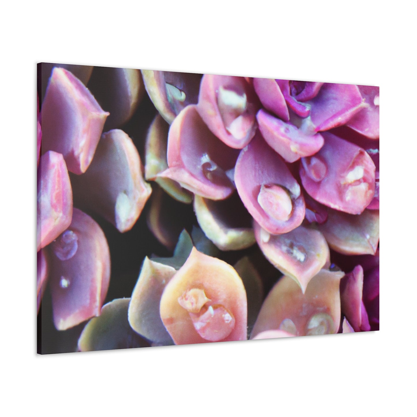 Garden of Splendor. - Canvas - Succulent
