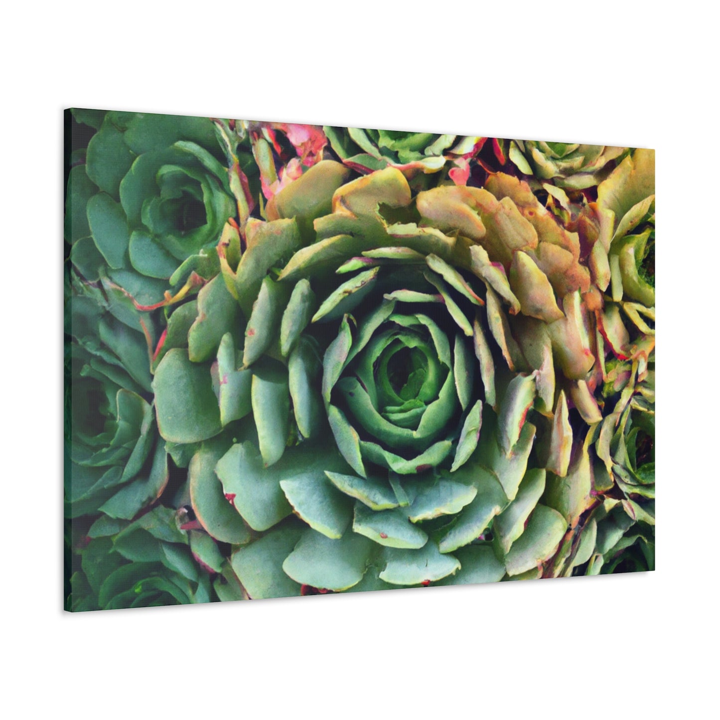Aphrodite's Flight. - Canvas - Succulent