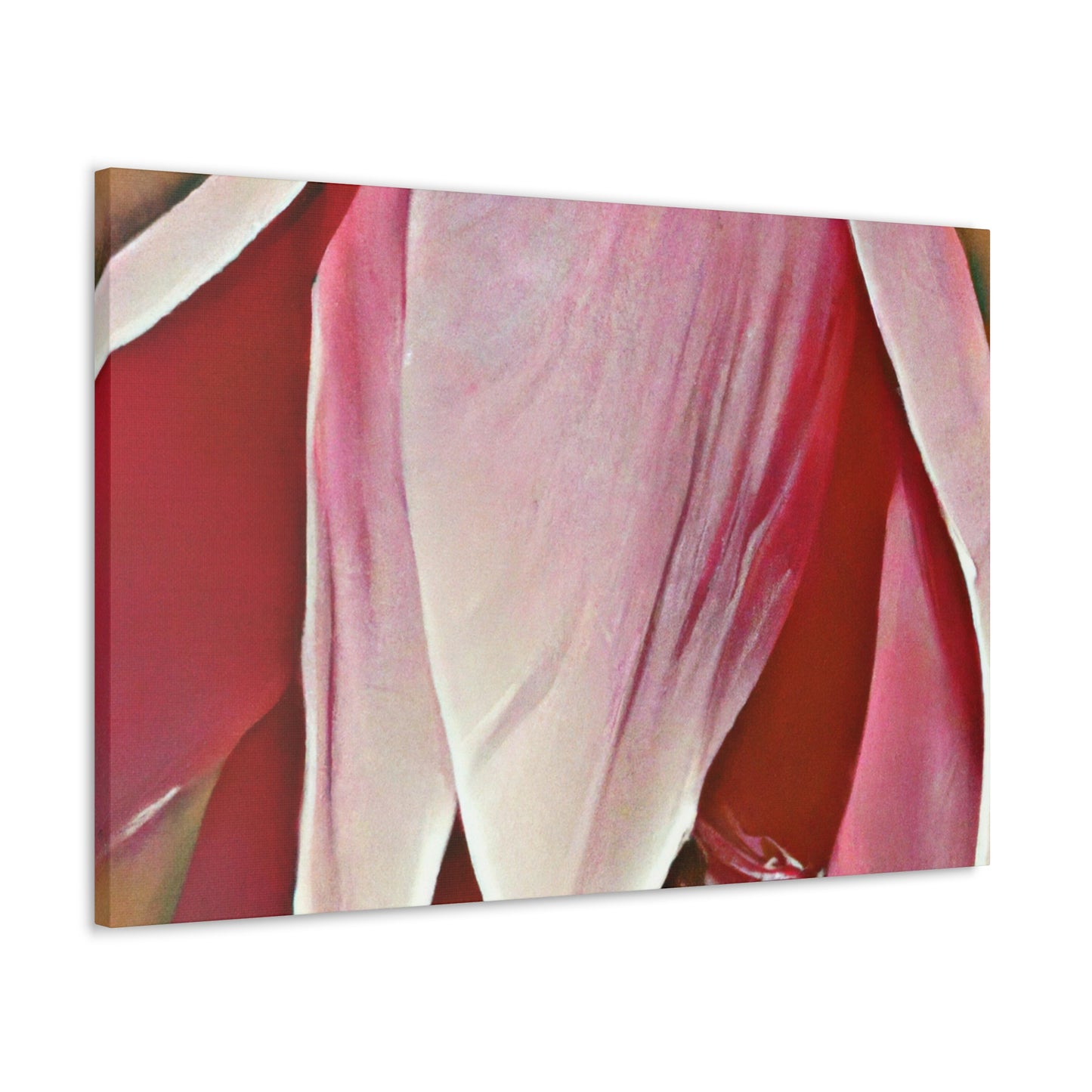 Pink Elder - Canvas - Floral