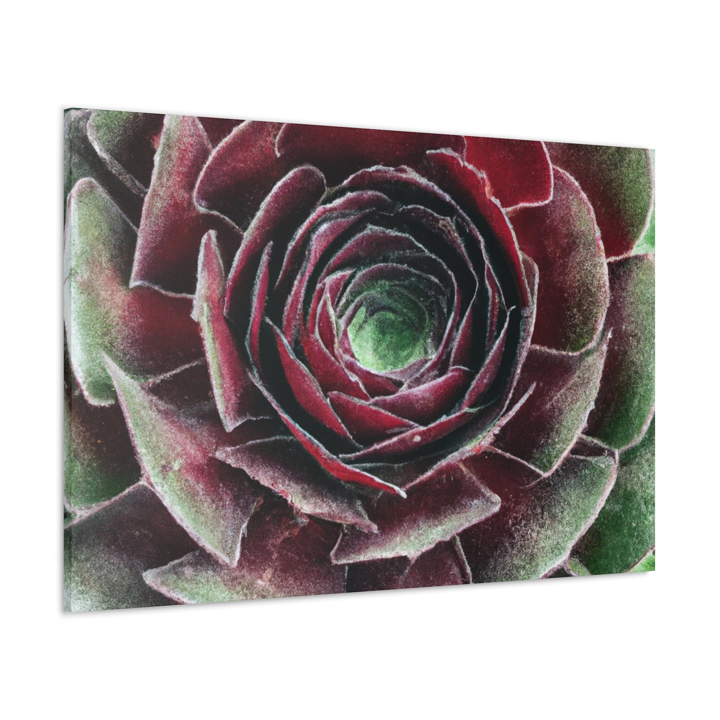 Red Garden Petals. - Canvas - Succulent