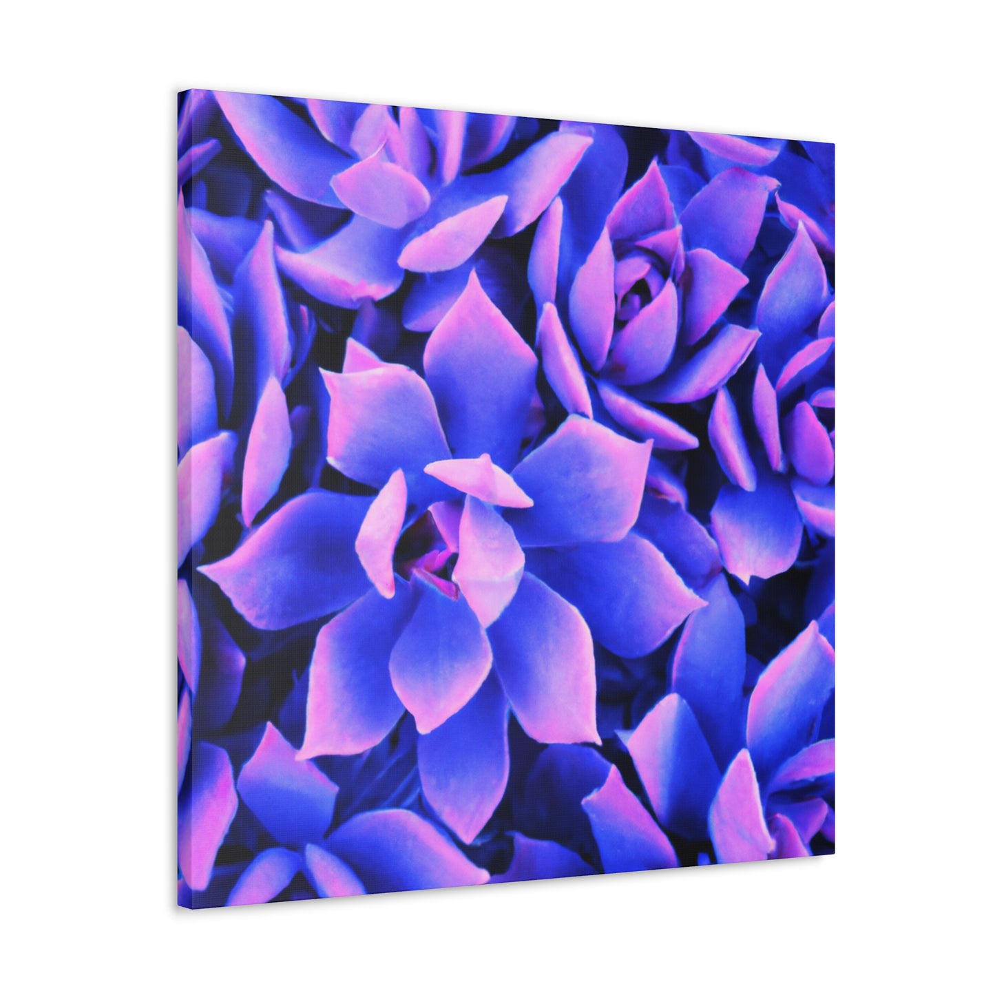 Floral Eden Print. - Canvas - Succulent