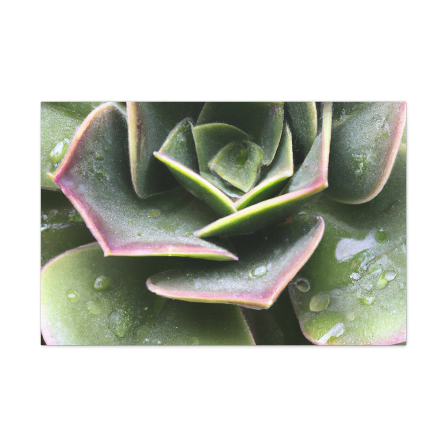 "Garden of Plenty." - Canvas - Succulent