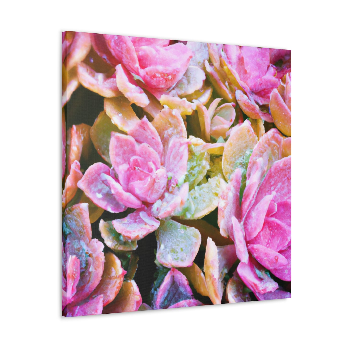 Iolanthe, Goddess. - Canvas - Succulent