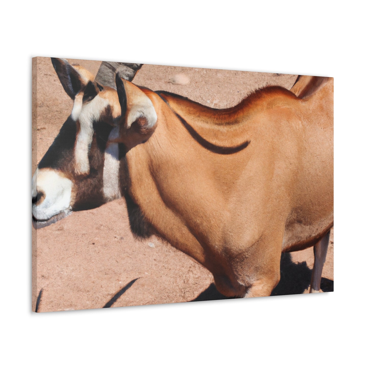 Stripespike. - Canvas Wildlife