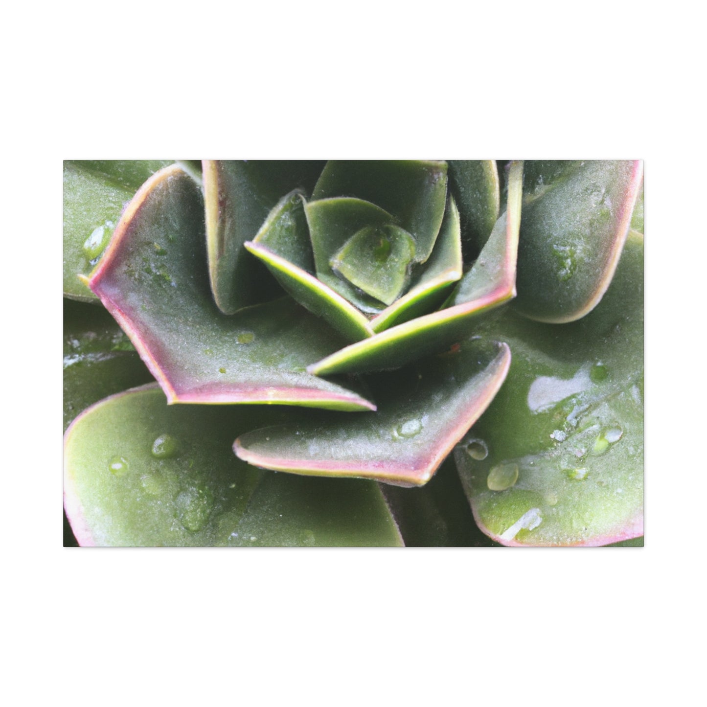 "Garden of Plenty." - Canvas - Succulent