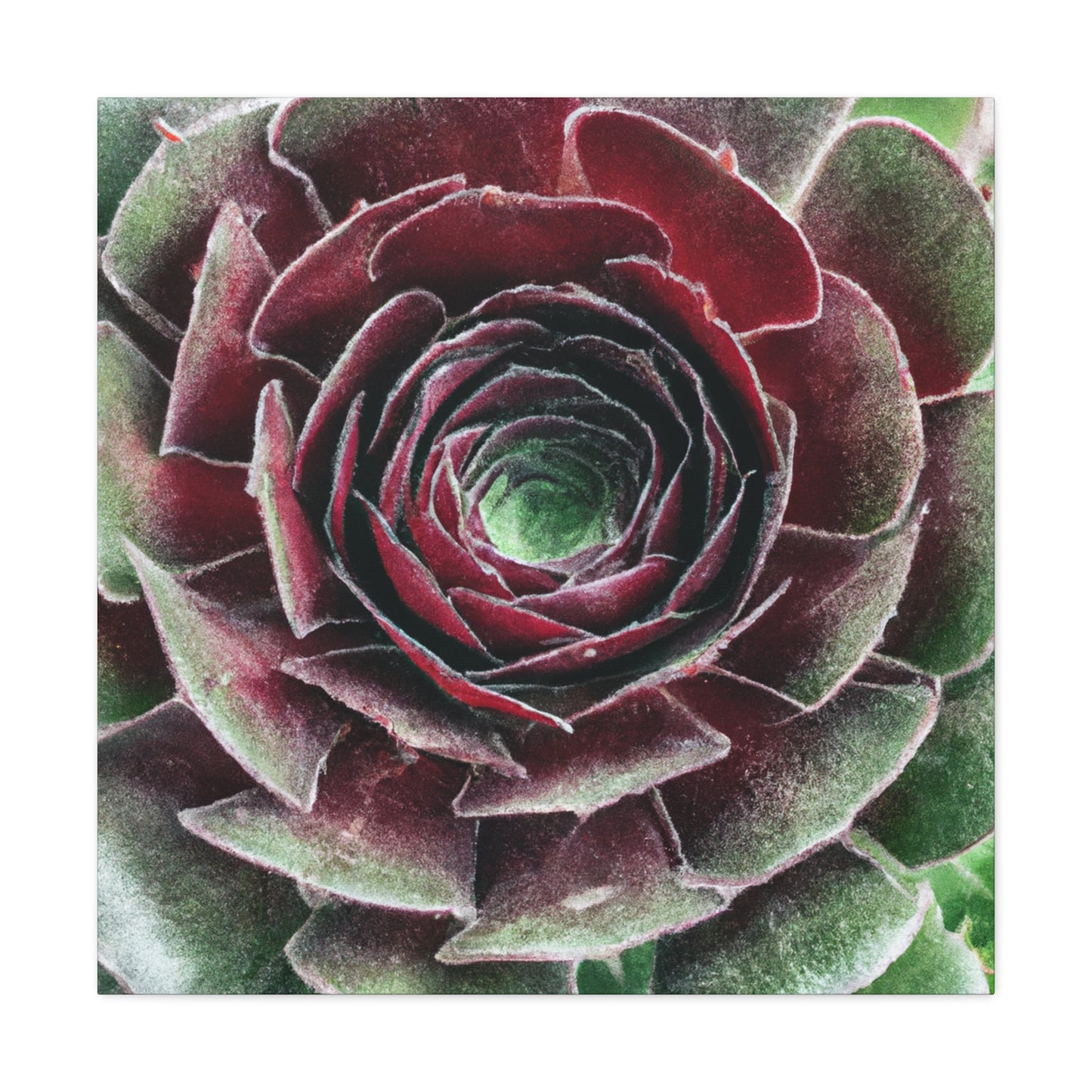 Red Garden Petals. - Canvas - Succulent