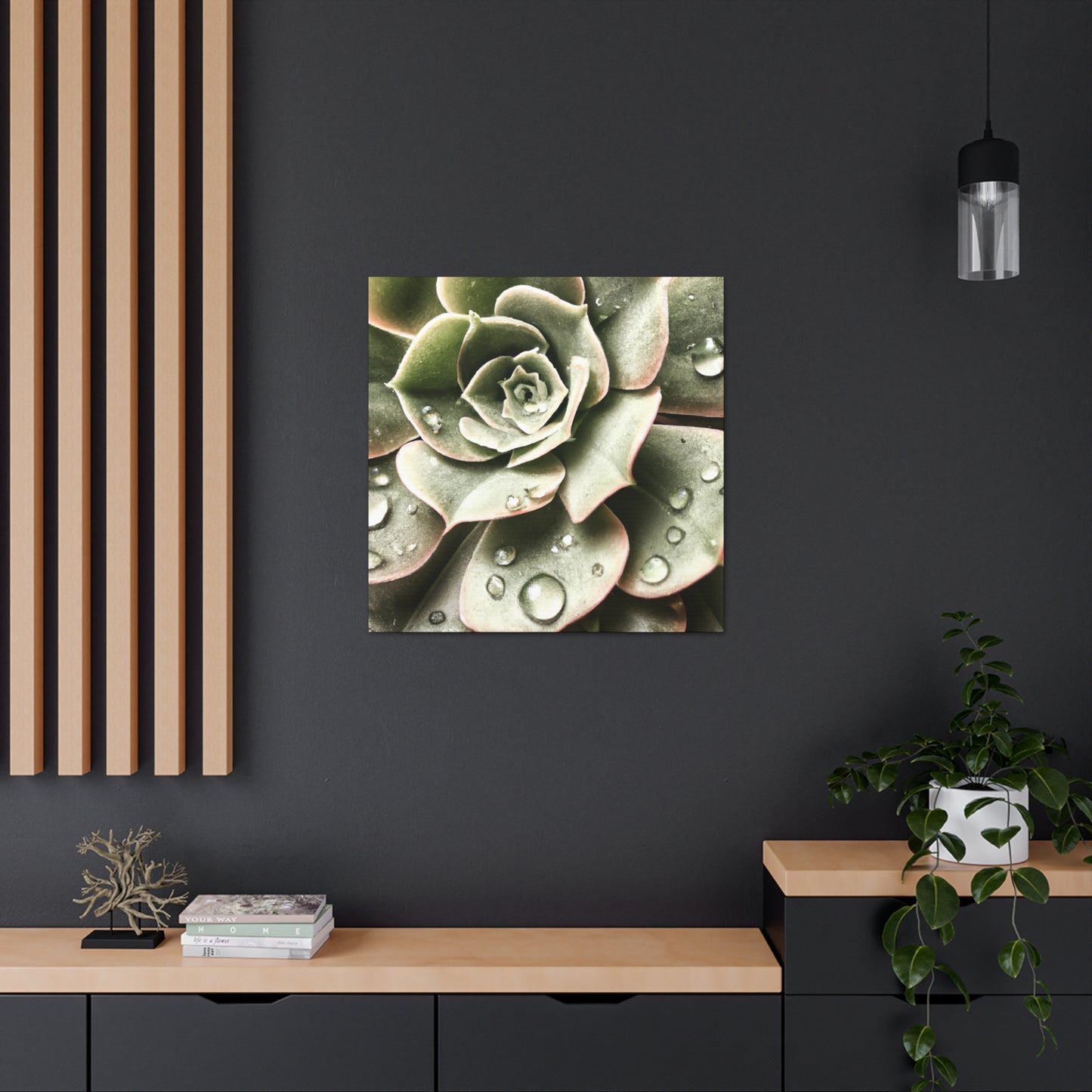 Neutral Close Up - Canvas - Succulent
