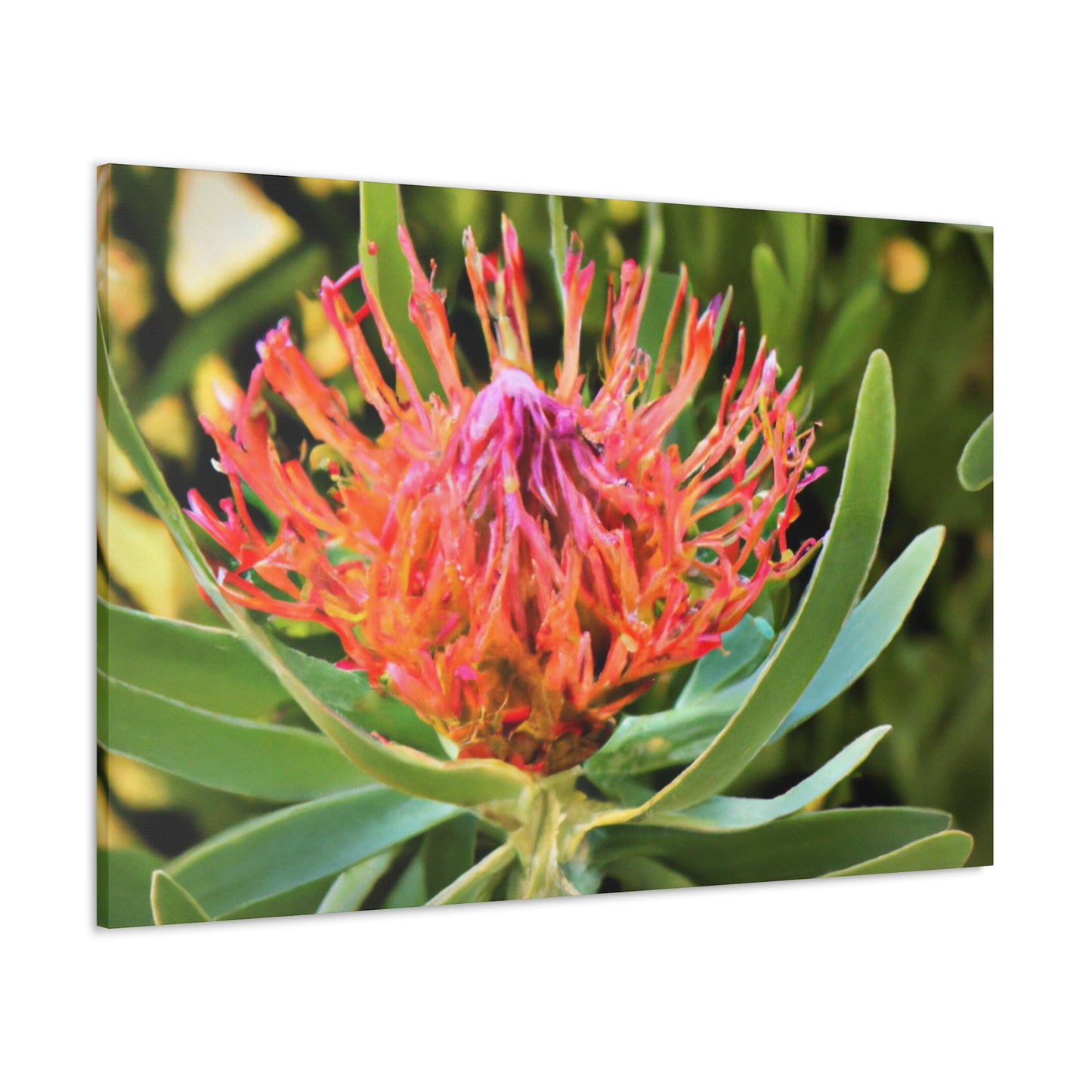 Floral Scroll Garden Print - Canvas - Floral