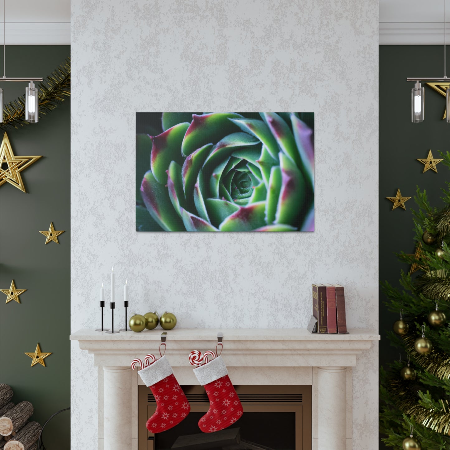 "Flowering Patio" - Canvas - Succulent