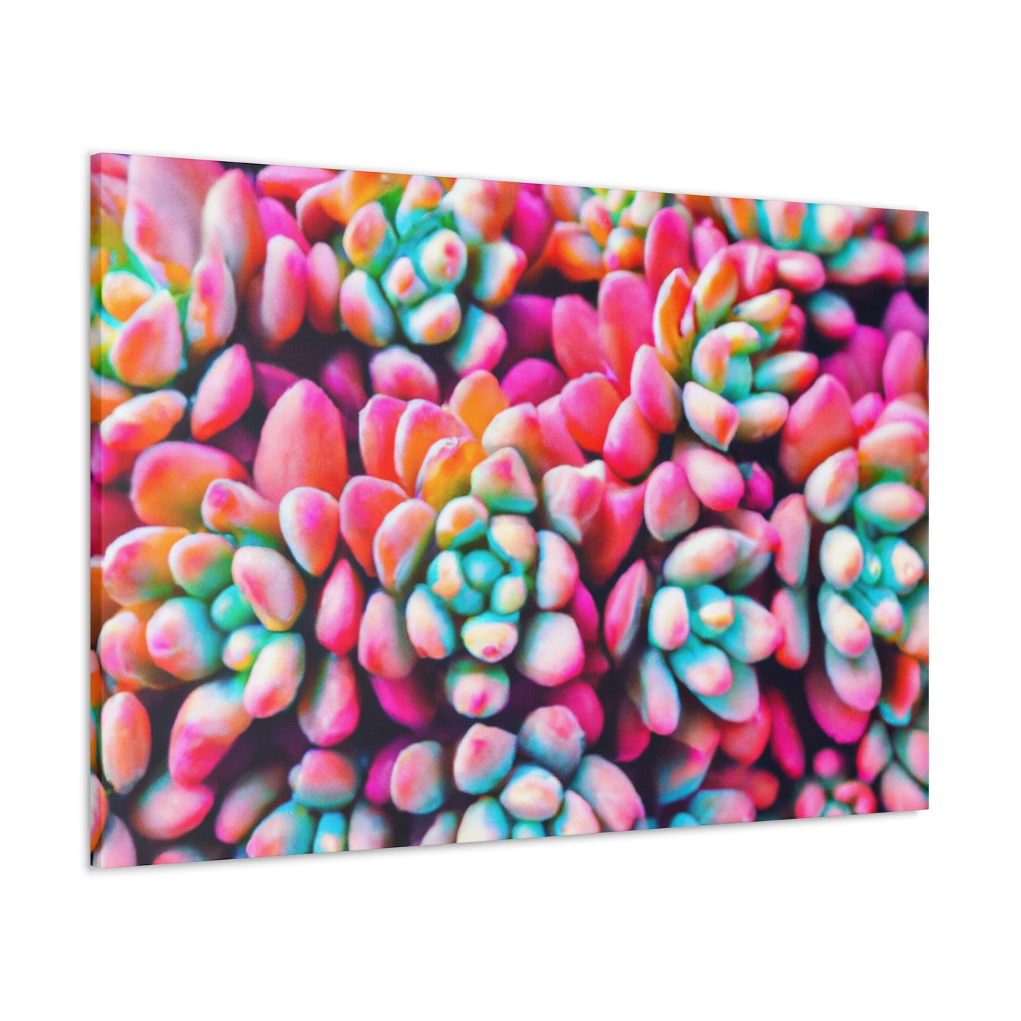 "Garden of Splendor" - Canvas - Succulent