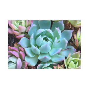 "Garden of Abundance" - Canvas - Succulent