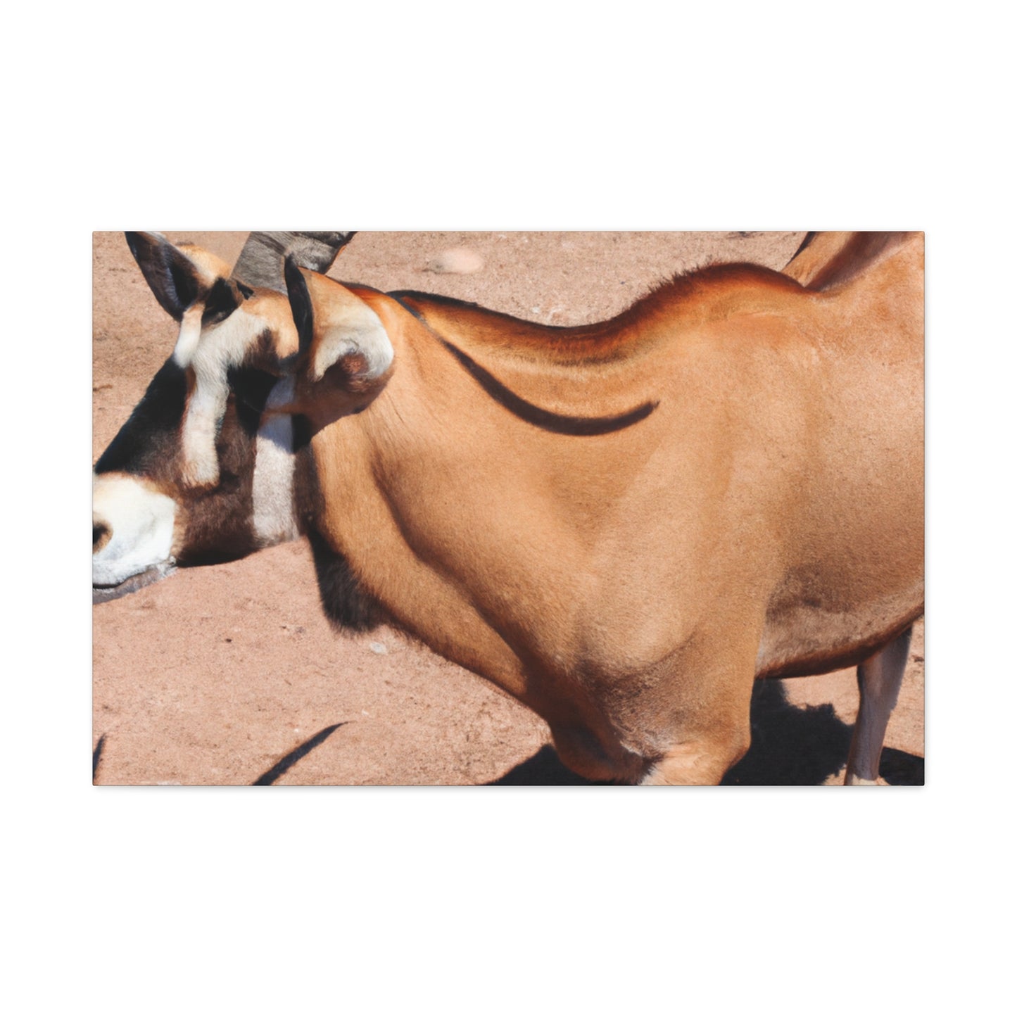 Stripespike. - Canvas Wildlife
