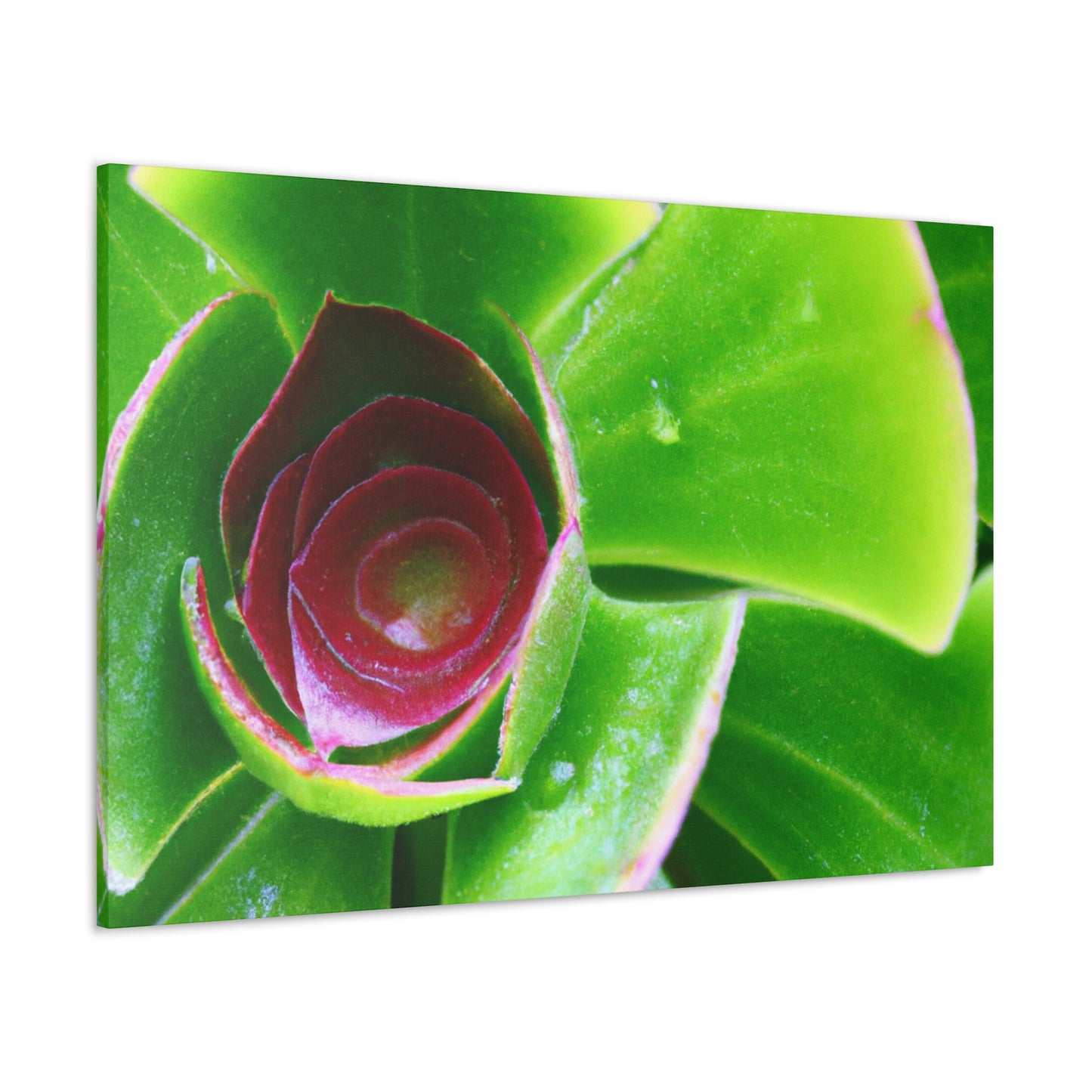 Pandora of the Underworld - Canvas - Succulent