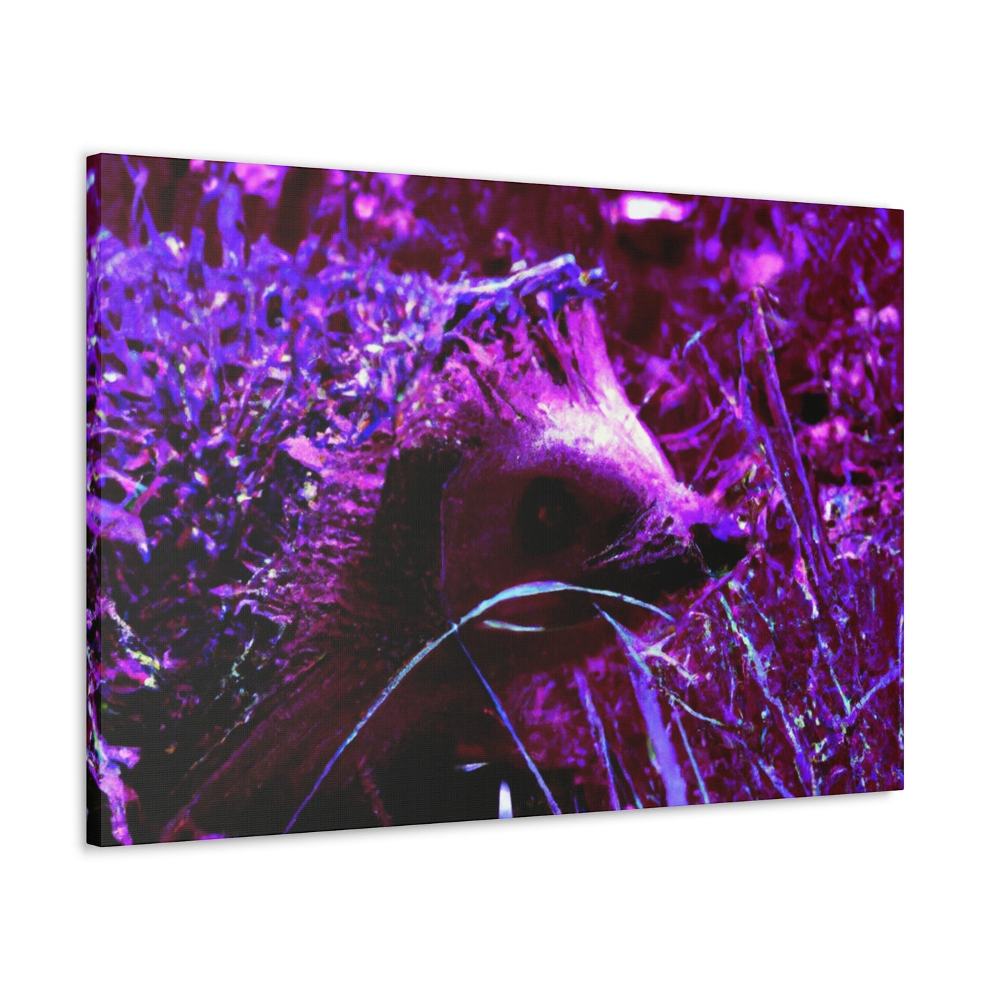 Purple Porcipine. - Canvas - Wildlife