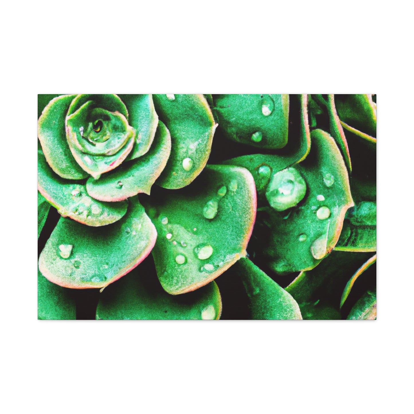 "Garden Splendor" - Canvas - Succulent