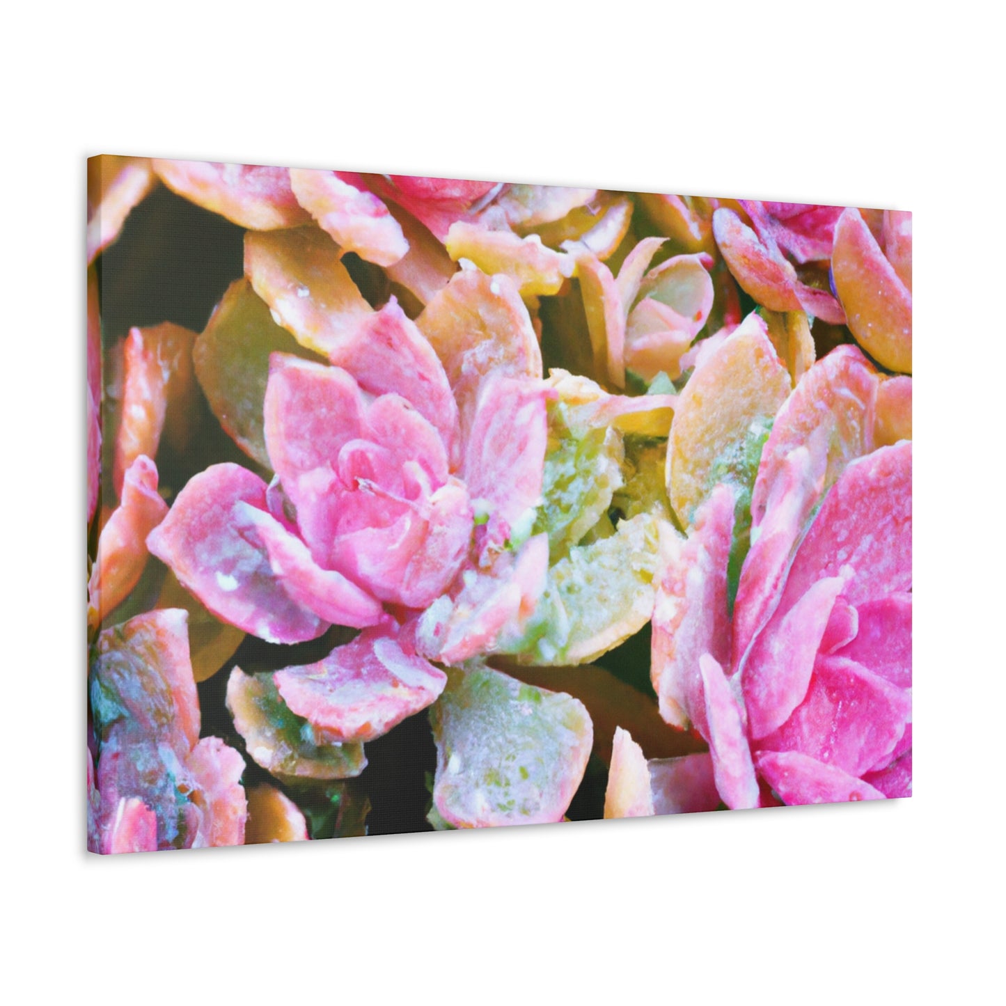 Iolanthe, Goddess. - Canvas - Succulent