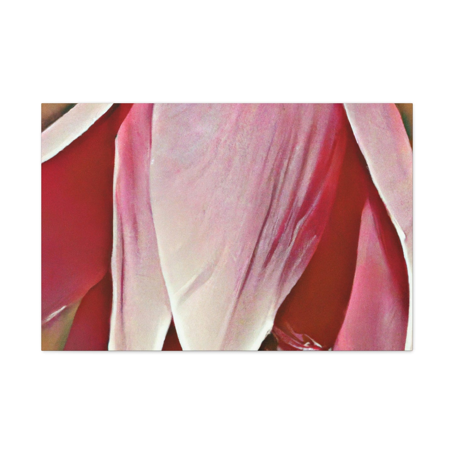 Pink Elder - Canvas - Floral