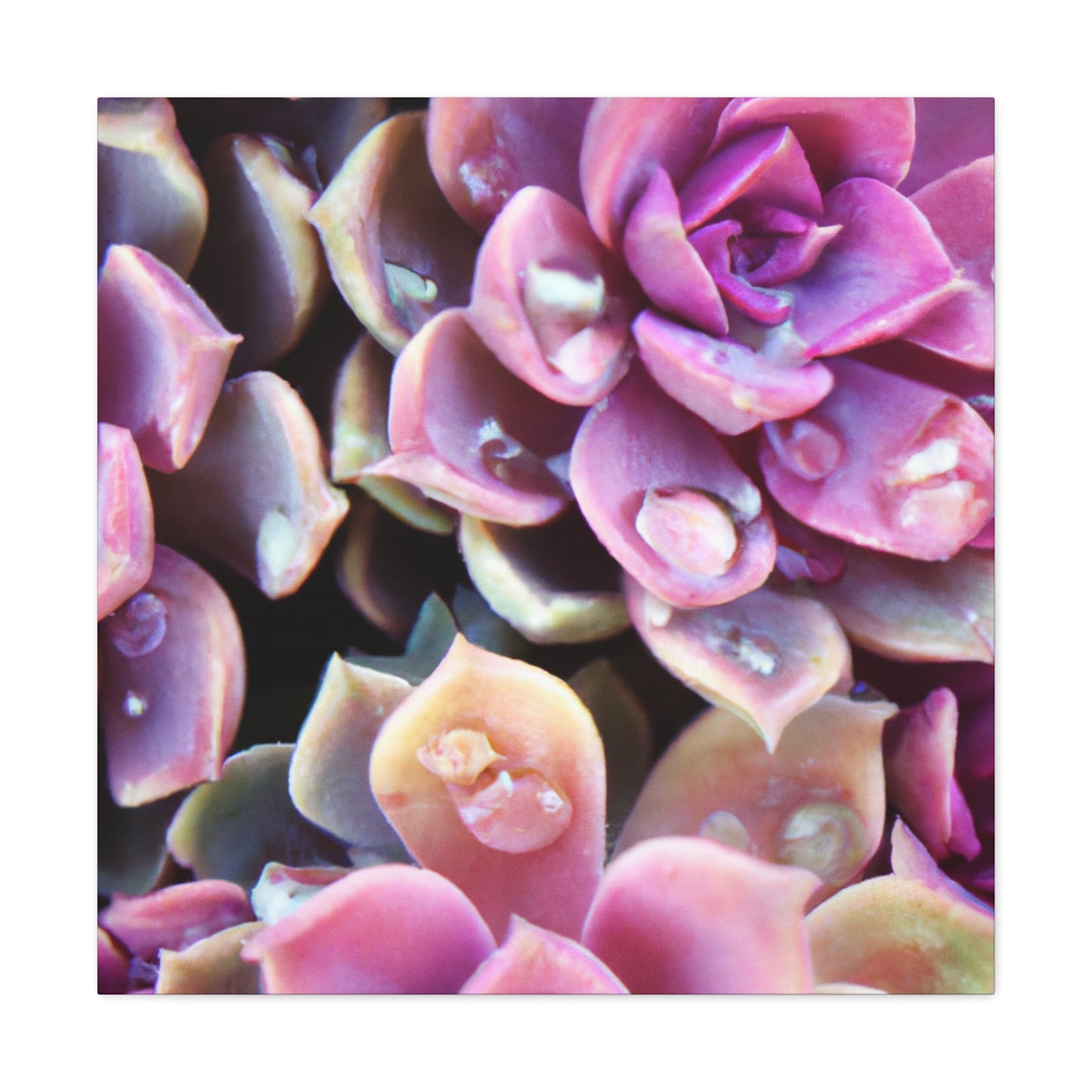 Garden of Splendor. - Canvas - Succulent