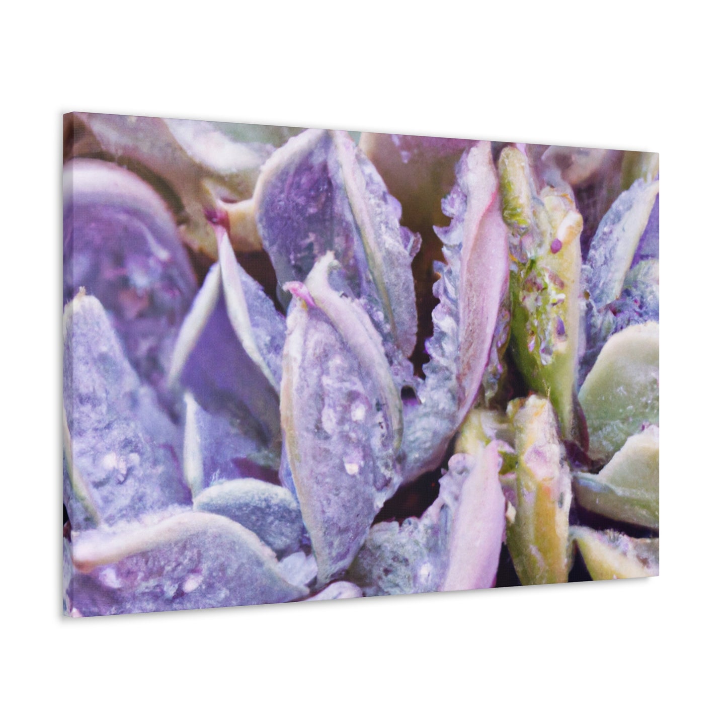 Violet Delights. - Canvas - Succulent