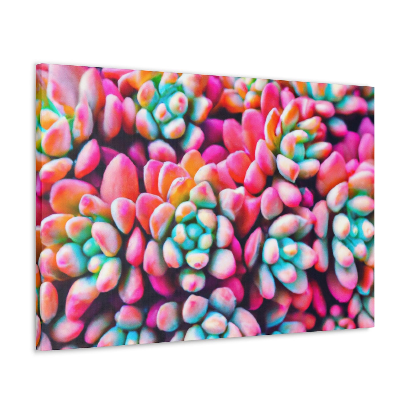 "Garden of Splendor" - Canvas - Succulent