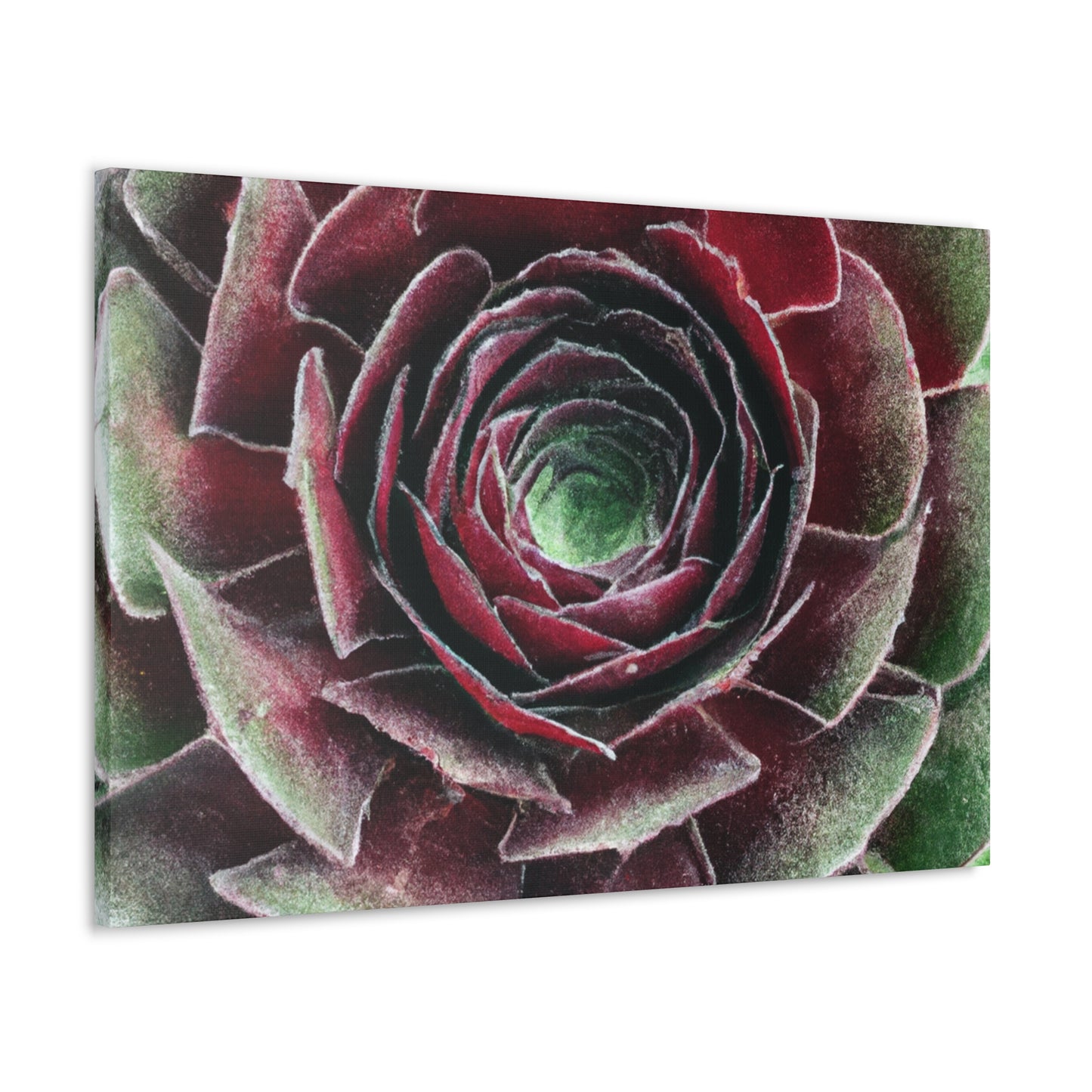 Red Garden Petals. - Canvas - Succulent
