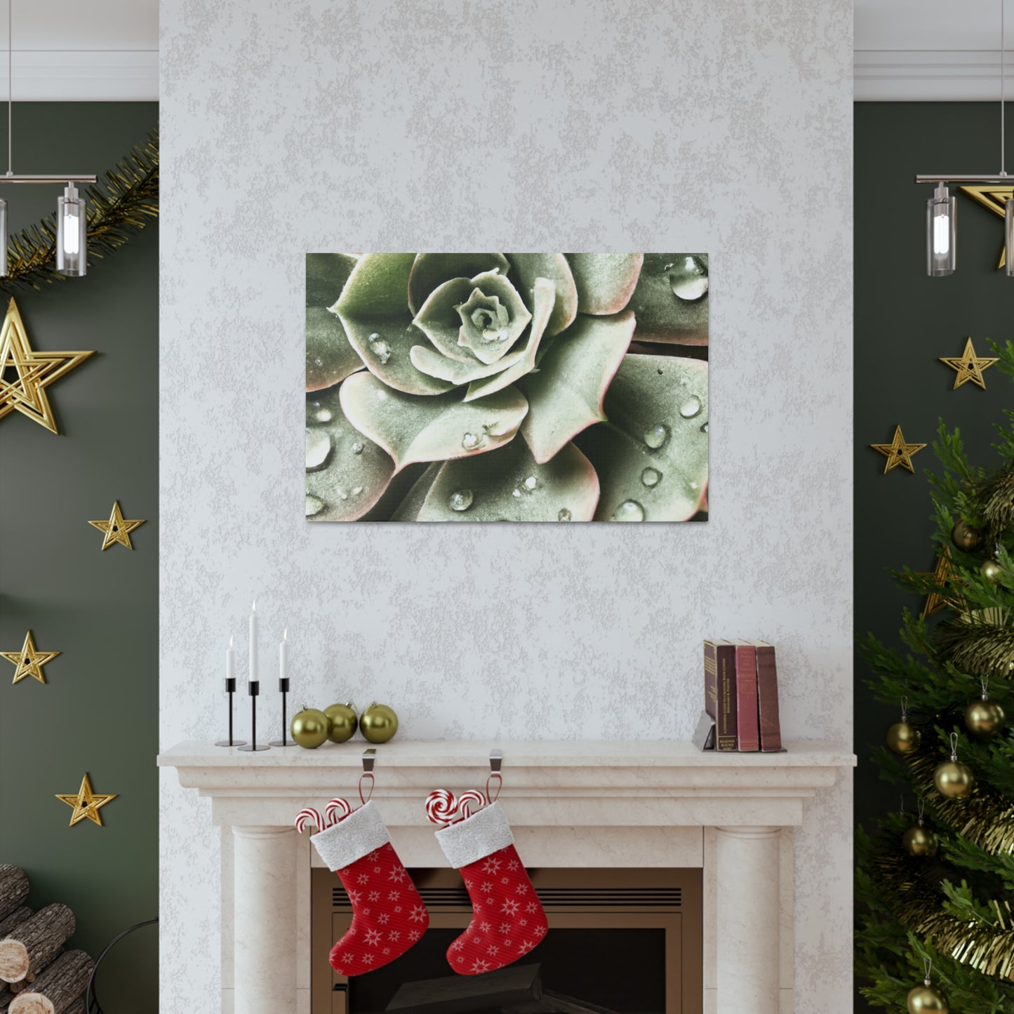 Neutral Close Up - Canvas - Succulent