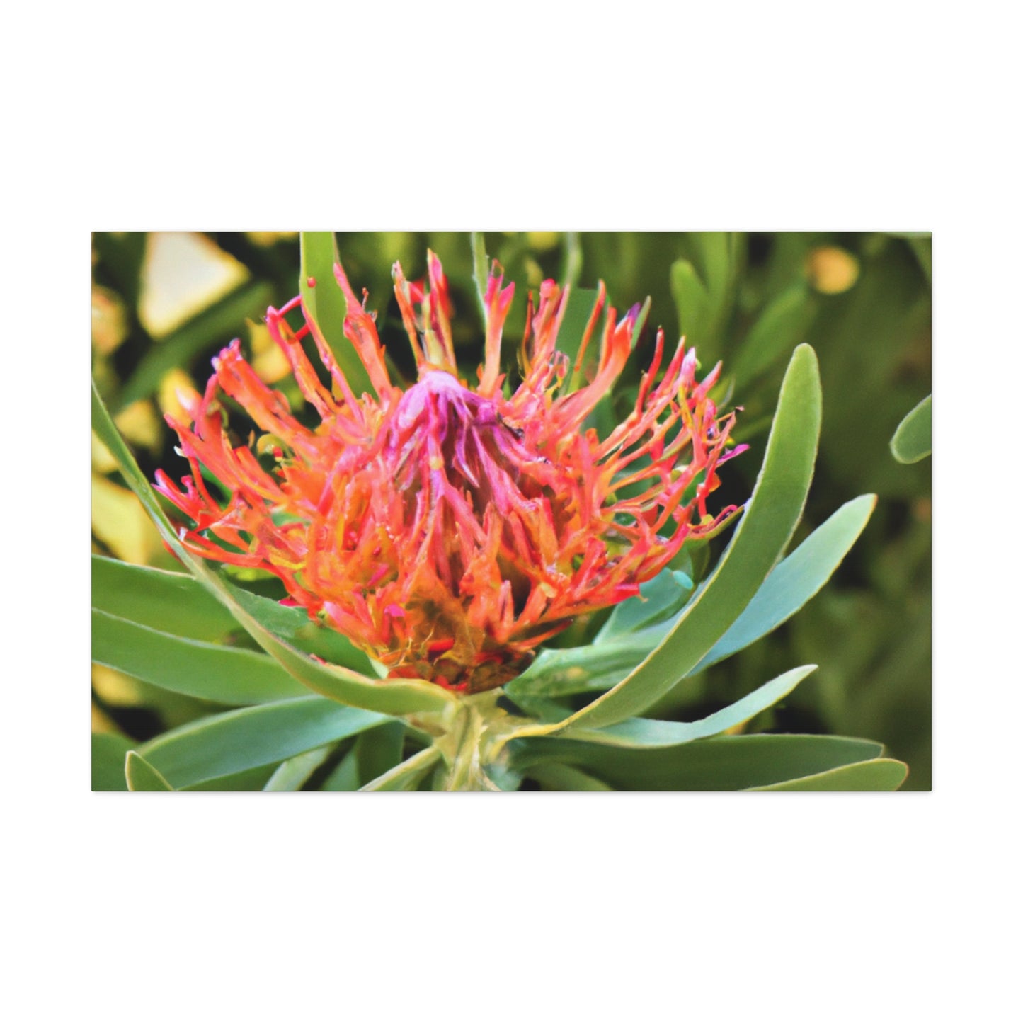 Floral Scroll Garden Print - Canvas - Floral