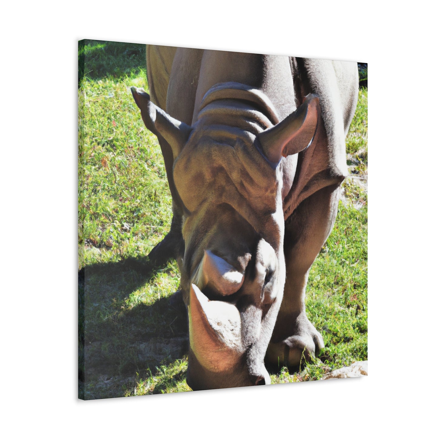 Climbing Zorton! - Canvas - Wildlife