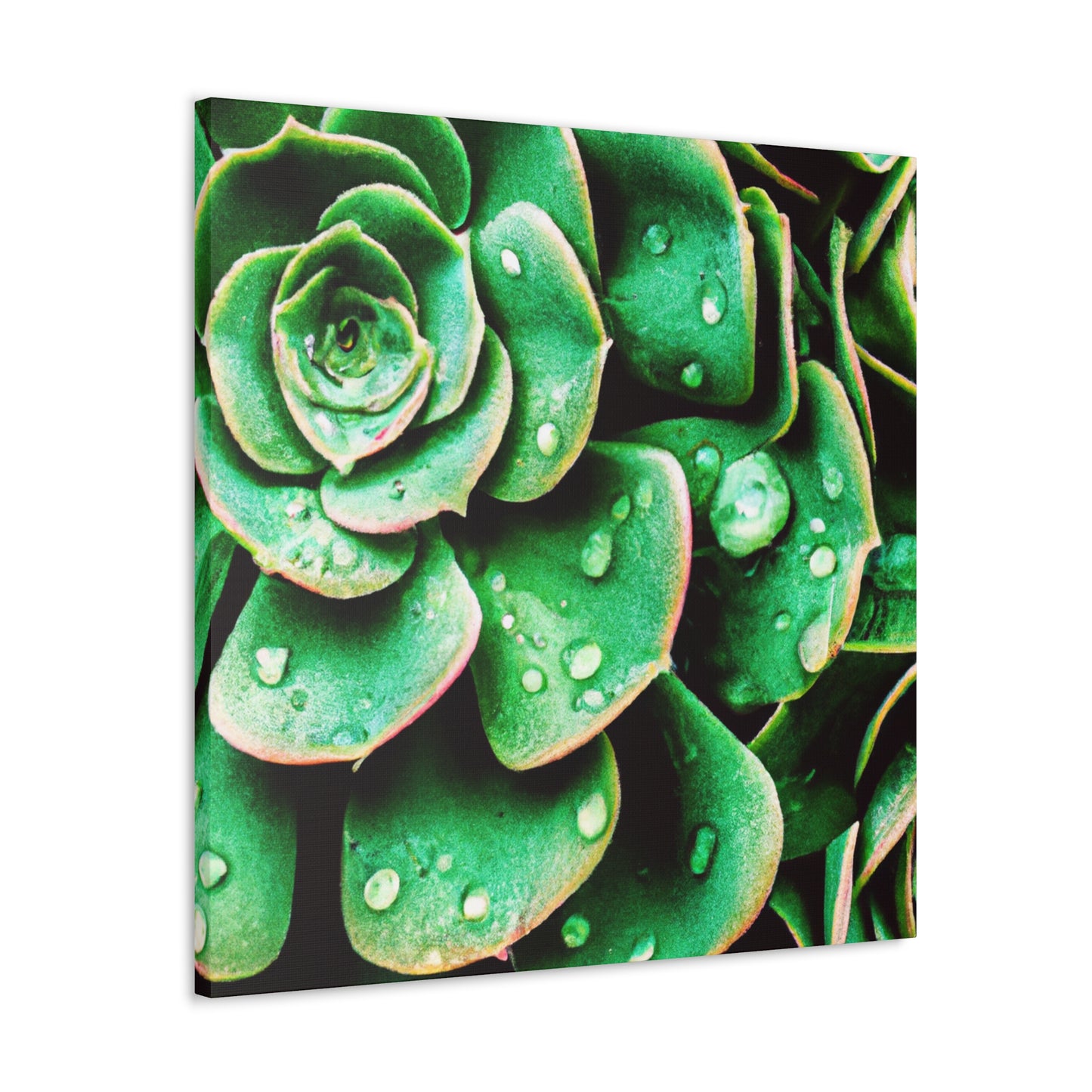 "Garden Splendor" - Canvas - Succulent