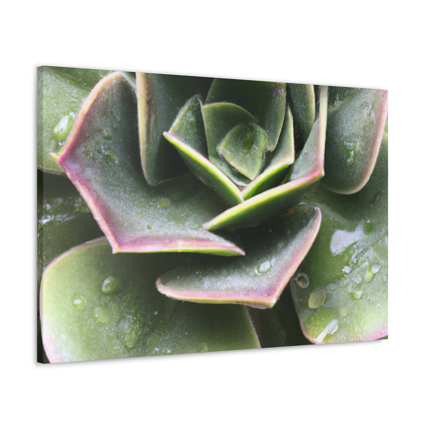 "Garden of Plenty." - Canvas - Succulent