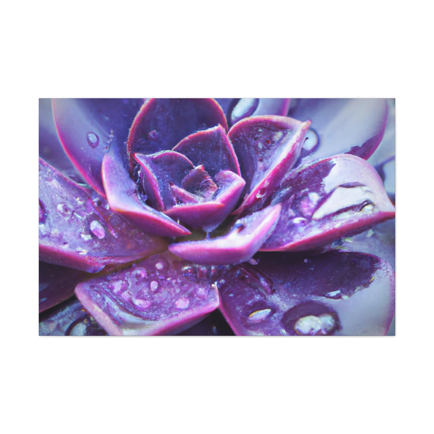 Purple Splendor - Canvas - Succulent