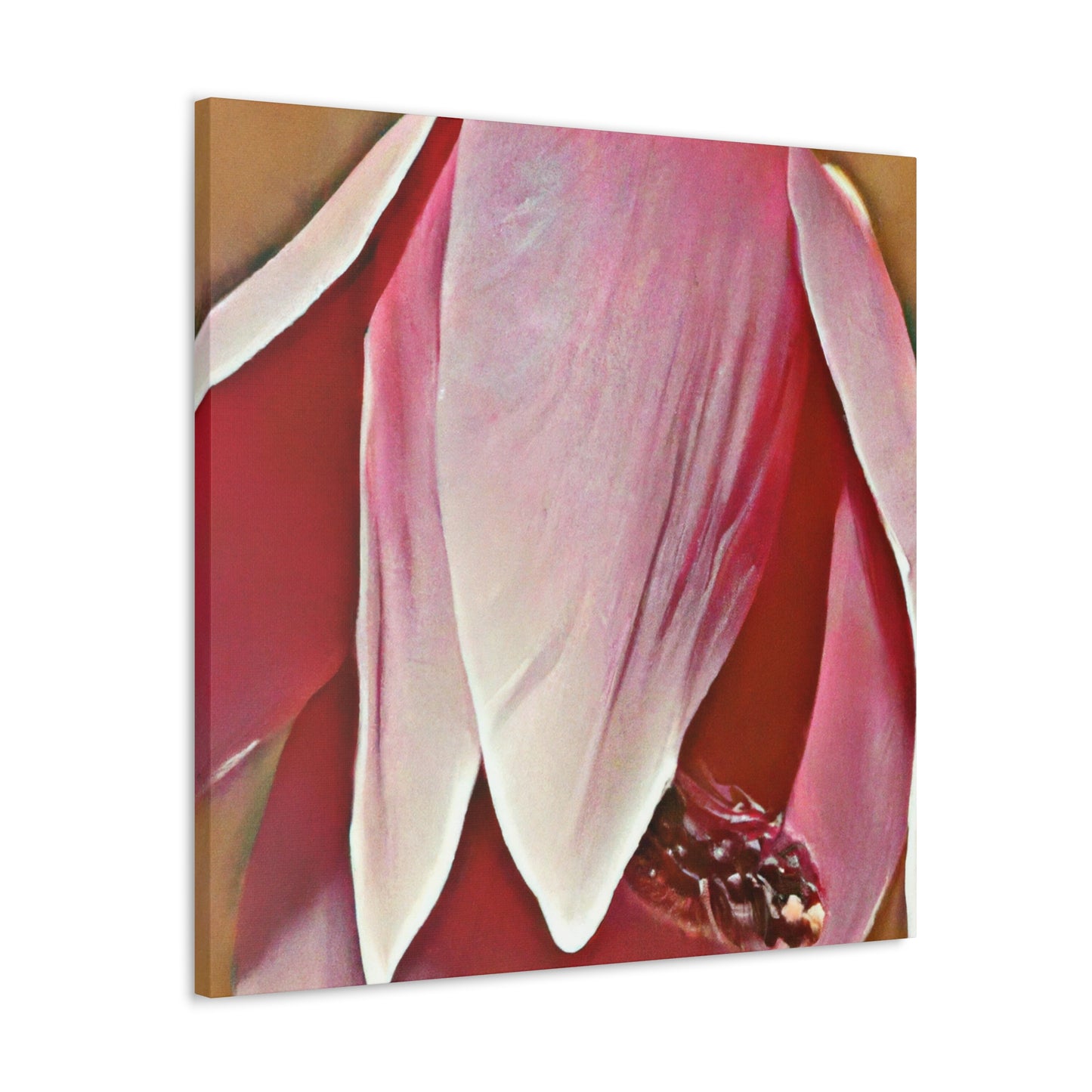 Pink Elder - Canvas - Floral
