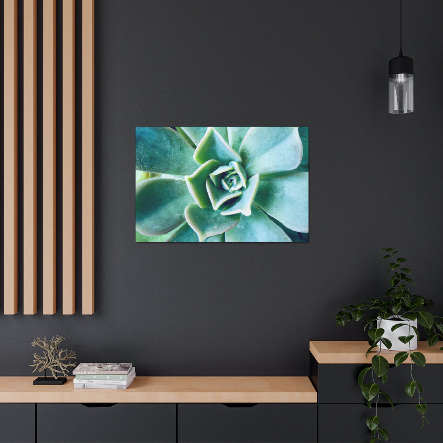 Irisaurus. - Canvas - Succulent