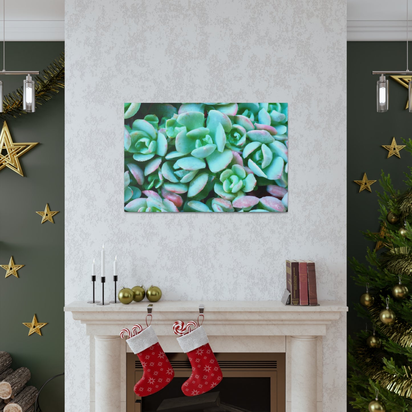 Green Beauties - Canvas - Succulent