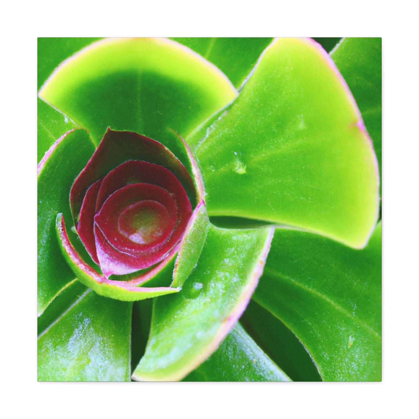 Pandora of the Underworld - Canvas - Succulent