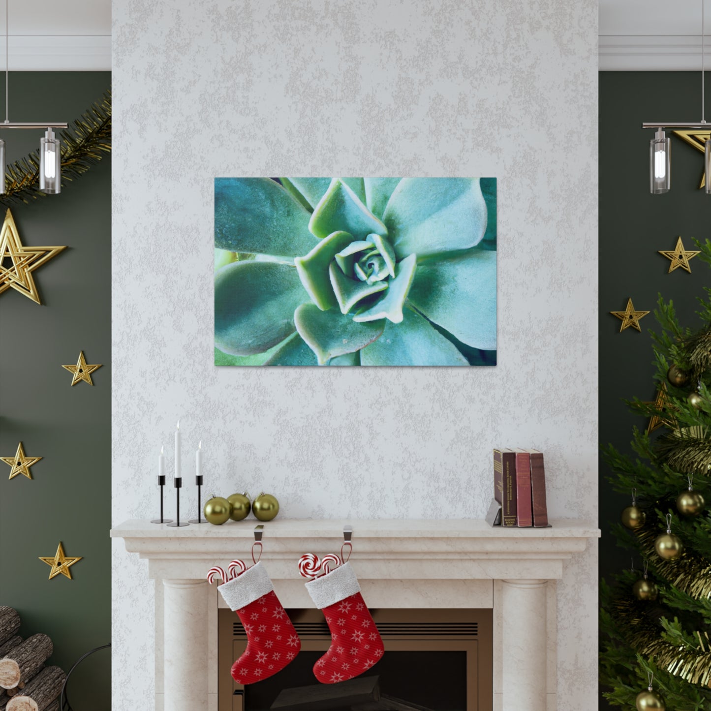 Irisaurus. - Canvas - Succulent