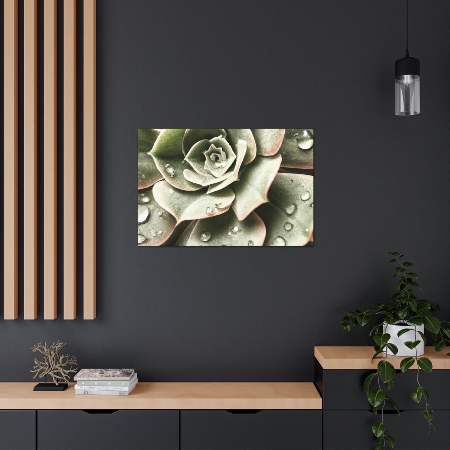 Neutral Close Up - Canvas - Succulent