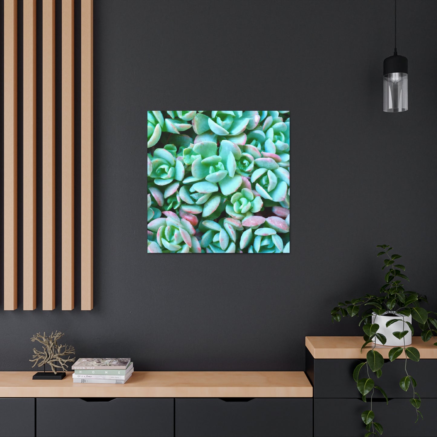 Green Beauties - Canvas - Succulent