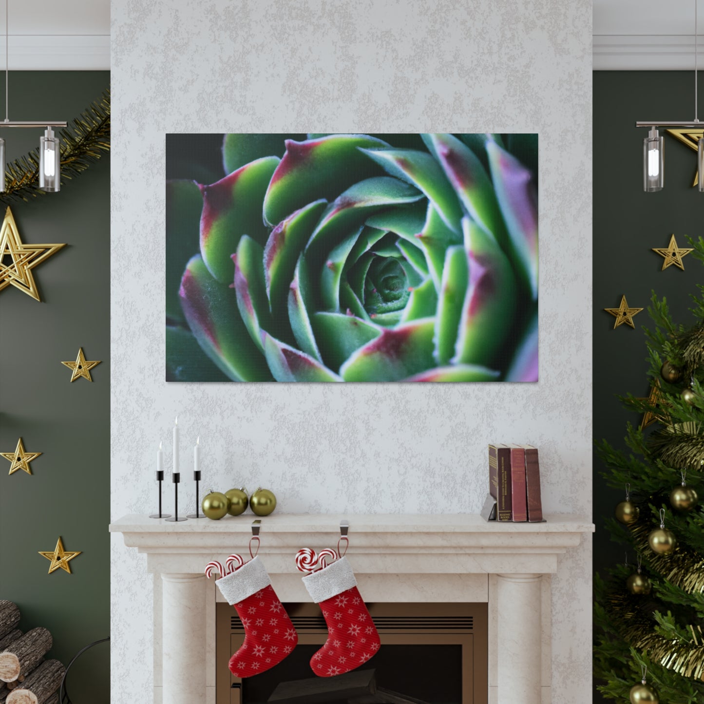 "Flowering Patio" - Canvas - Succulent
